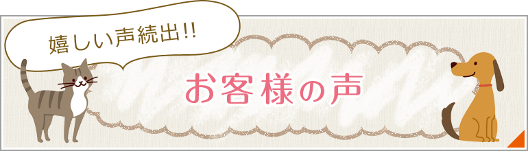 お客様の声